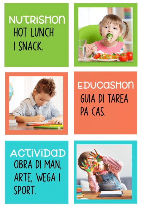 Nutrishon, educashon, actividad